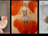 slideshow9